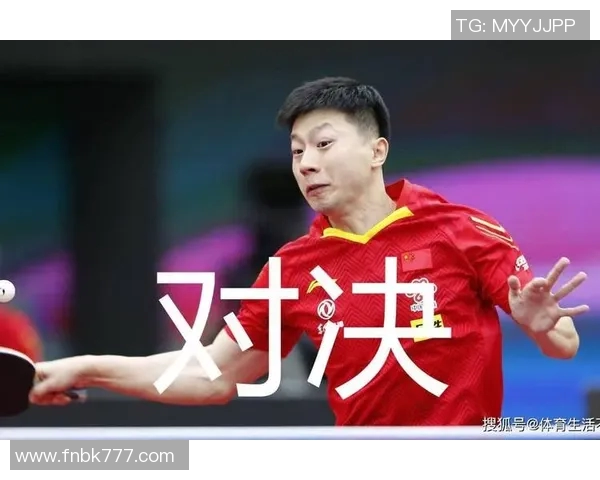 老虎竞技与圣马丁精彩对决比分揭晓赛季精彩瞬间回顾